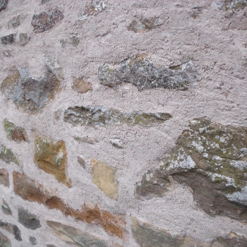 Lime Pointing (3) Lime Pointing (3)